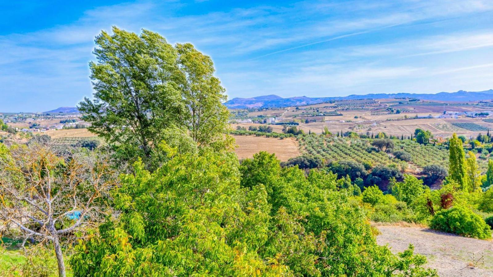 Vila La Fresnea Ronda By Ruralidays Exteriér fotografie